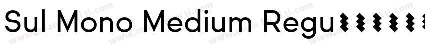 Sul Mono Medium Regu字体转换